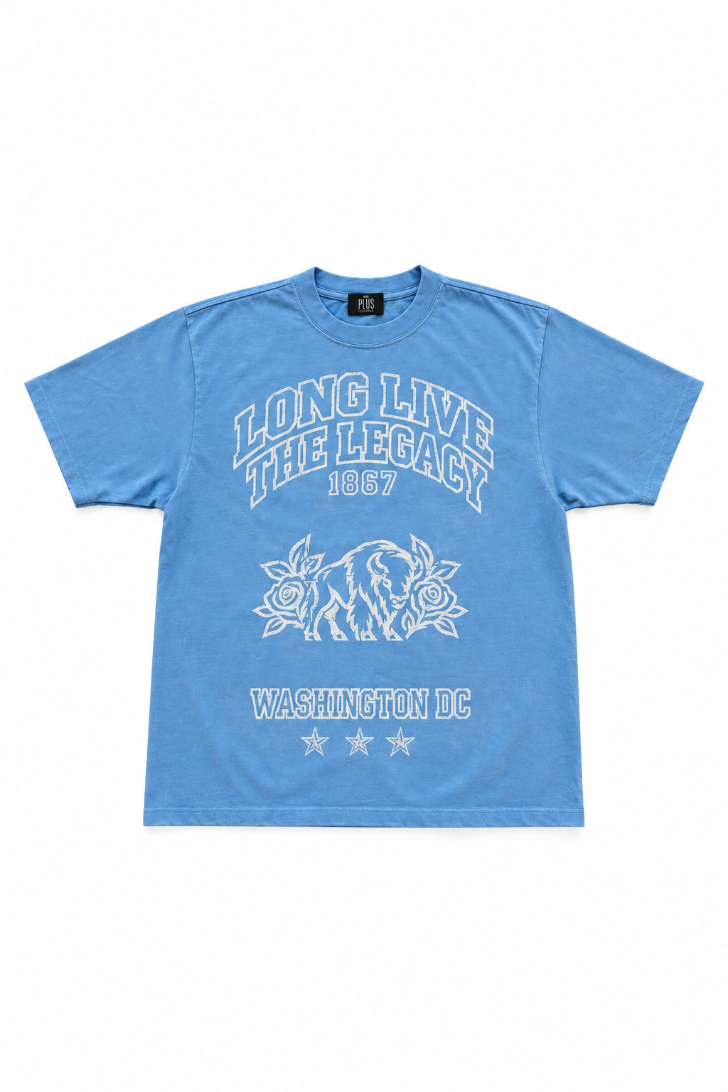 LLTL BISON T-SHIRT - BLUE DISTR*