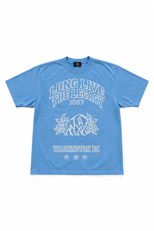 LLTL BISON T-SHIRT - BLUE DISTR*