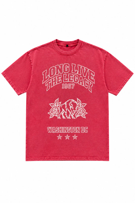 LLTL BISON T-SHIRT - RED DISTR*