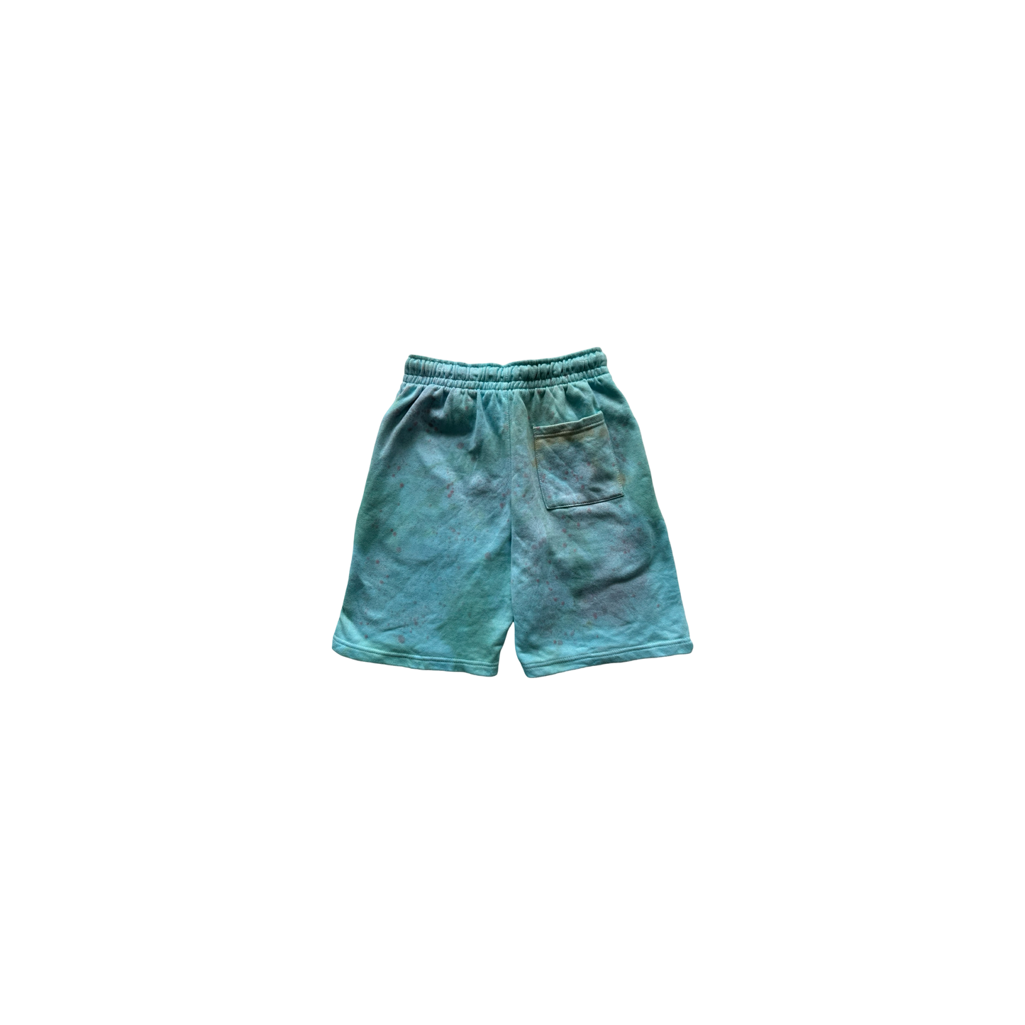 GOODS DESTROYED SHORTS  - MARINE